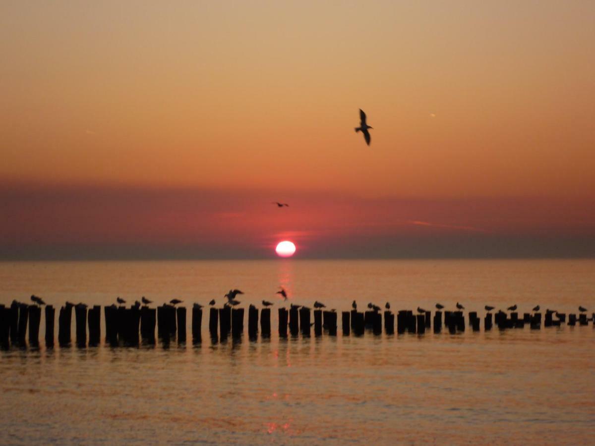 Knusse Vakantiewoning Domburg Do04 Εξωτερικό φωτογραφία